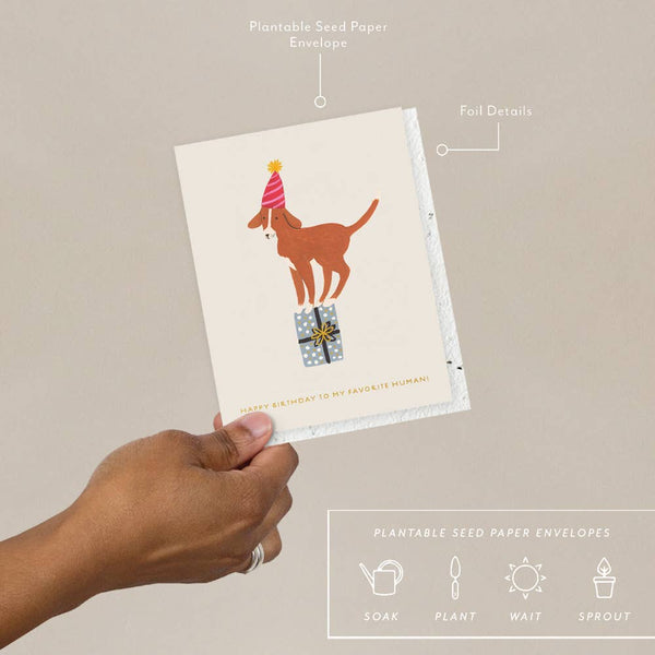 Favorite Human Dog Birthday Card - DIGS
