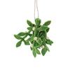 Felt Mistletoe Ornament - DIGS