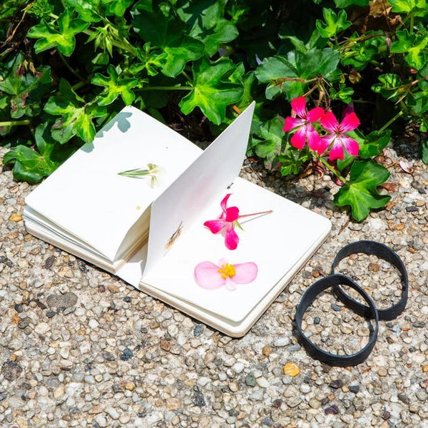 Field Flower Press - DIGS