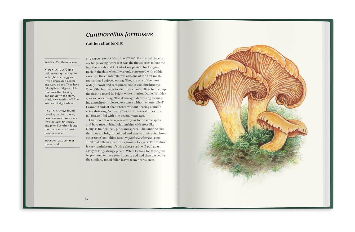 Field Notes From a Fungi Forager - DIGS