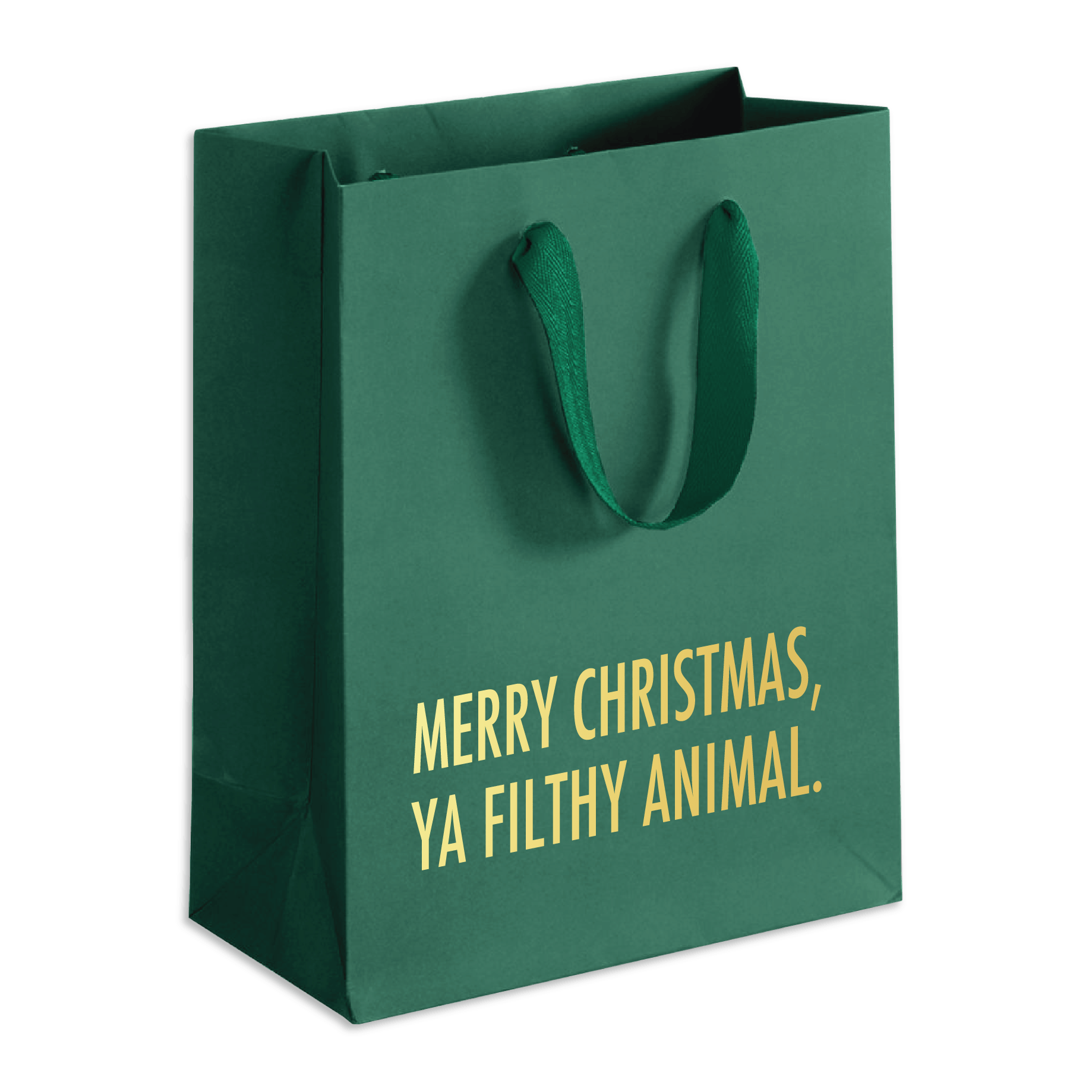 Filthy Animal Holiday Gift Bag - Green - DIGS