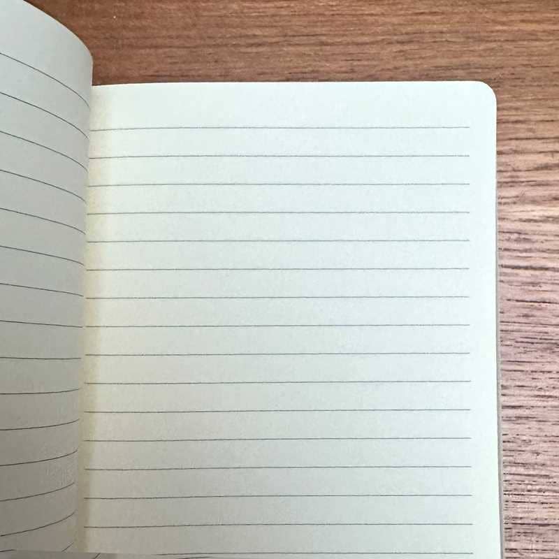 Flame Tree Artisan Notebook: Evening Primrose - DIGS