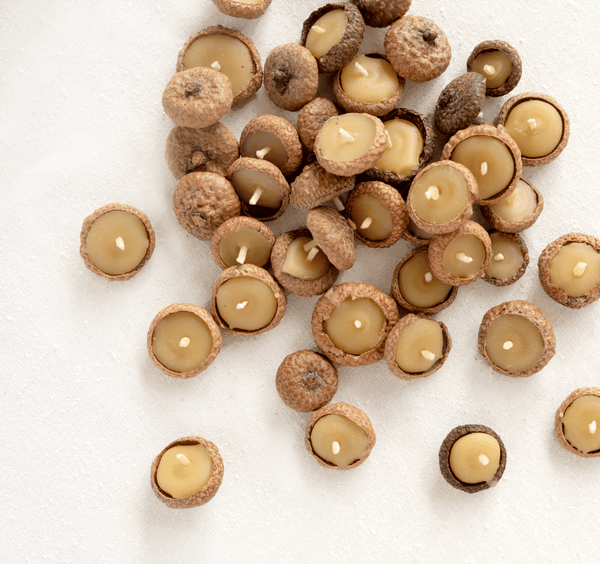Floating Acorn Candles - DIGS