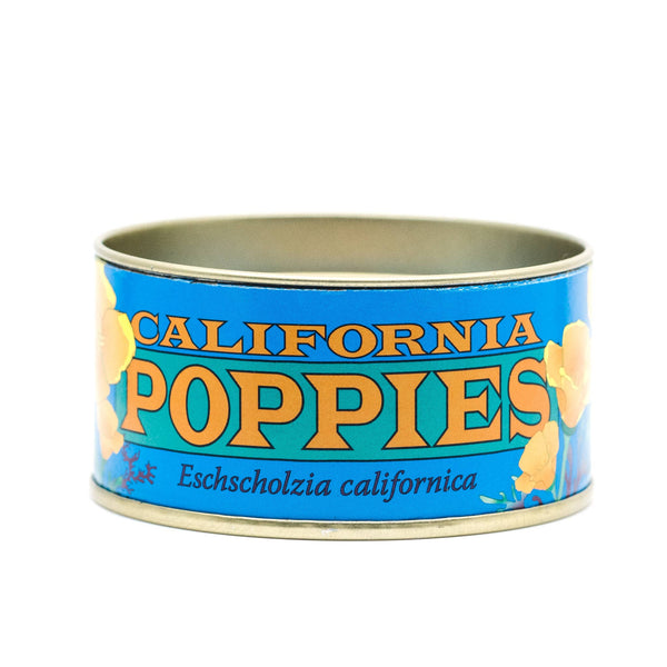 Flower Seed Grow Kit: California Poppy - DIGS