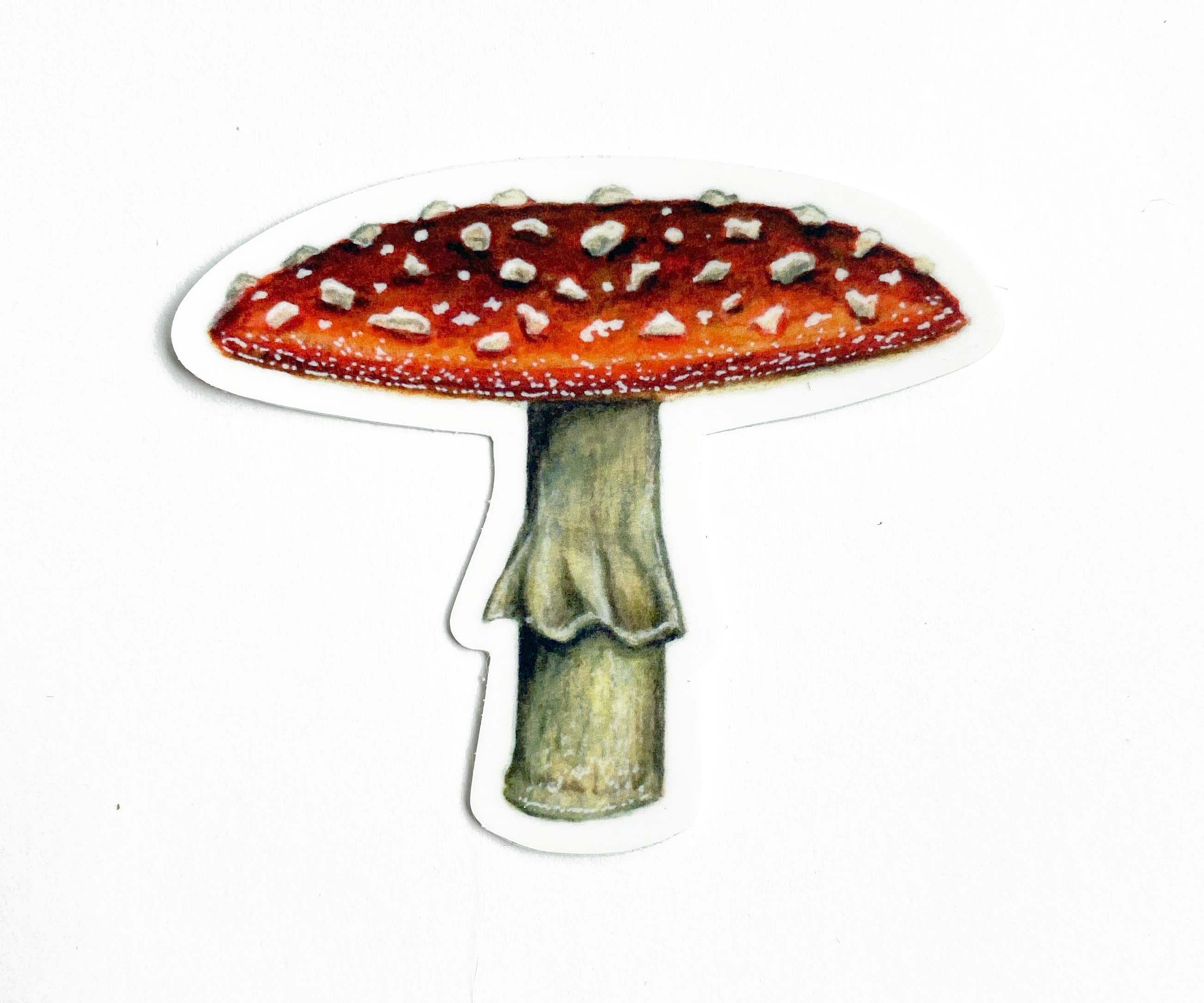 Fly Agaric Mushroom Sticker - DIGS
