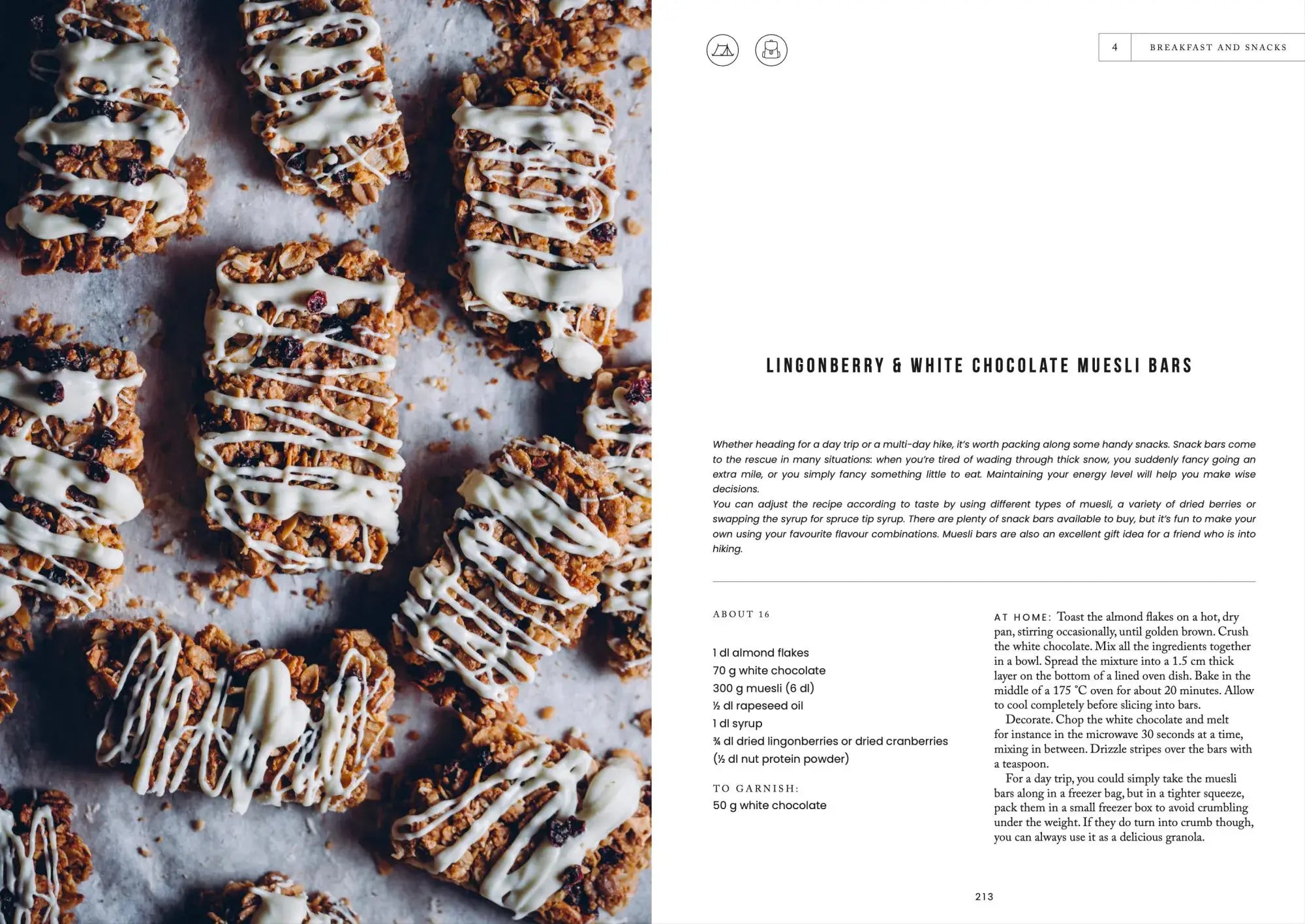 Food In The Woods: Vegetarian Recipes from Easy Snacks to Hiking Meals - DIGS