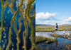 Food In The Woods: Vegetarian Recipes from Easy Snacks to Hiking Meals - DIGS