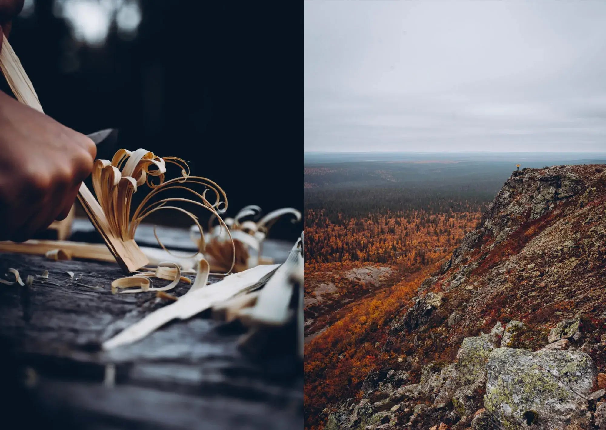 Food In The Woods: Vegetarian Recipes from Easy Snacks to Hiking Meals - DIGS