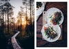 Food In The Woods: Vegetarian Recipes from Easy Snacks to Hiking Meals - DIGS