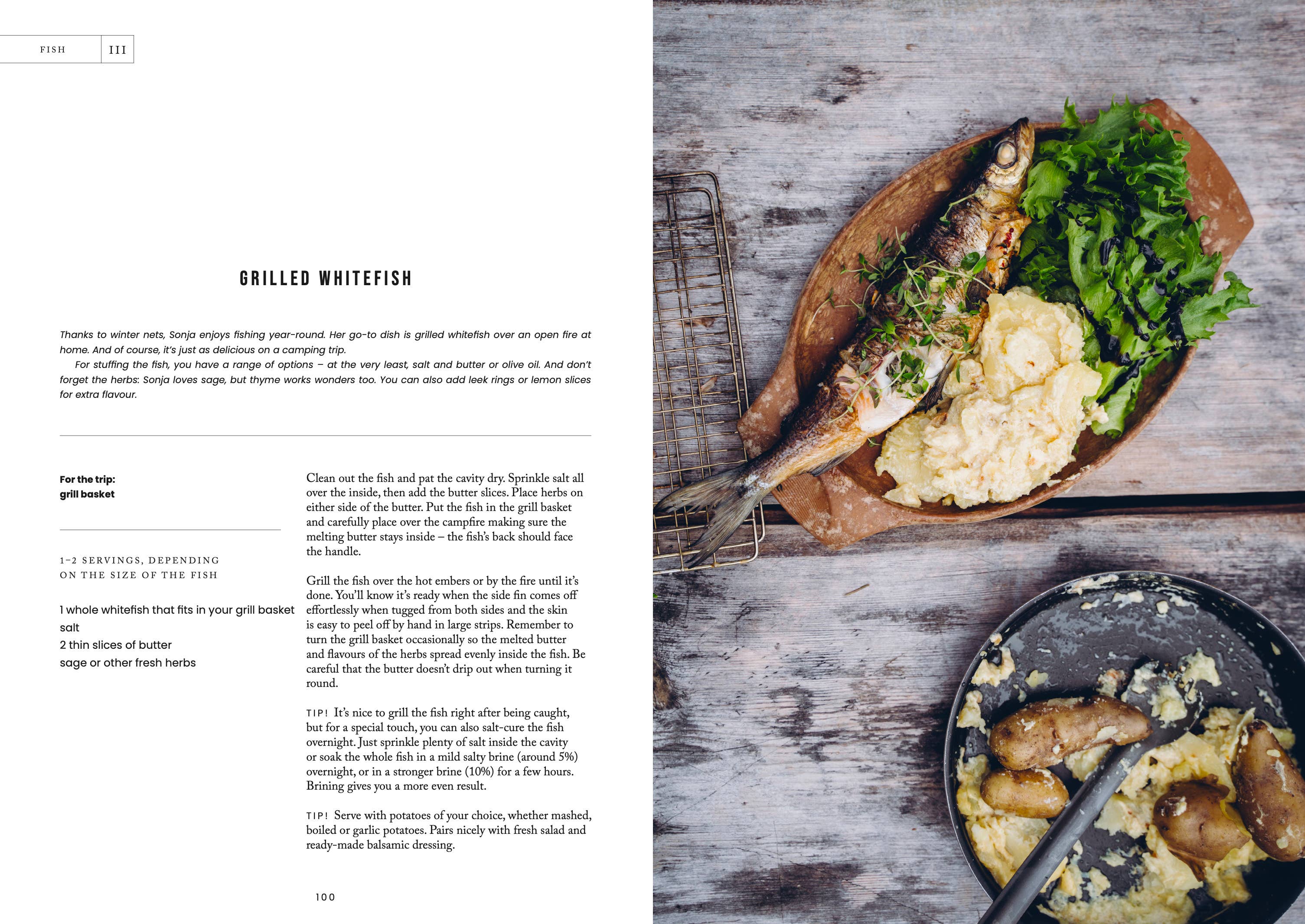 Food Over the Campfire - DIGS