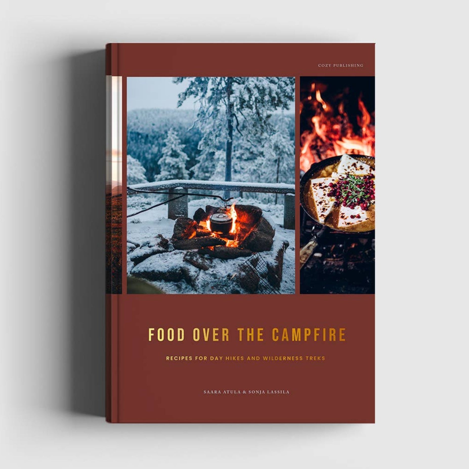 Food Over the Campfire - DIGS