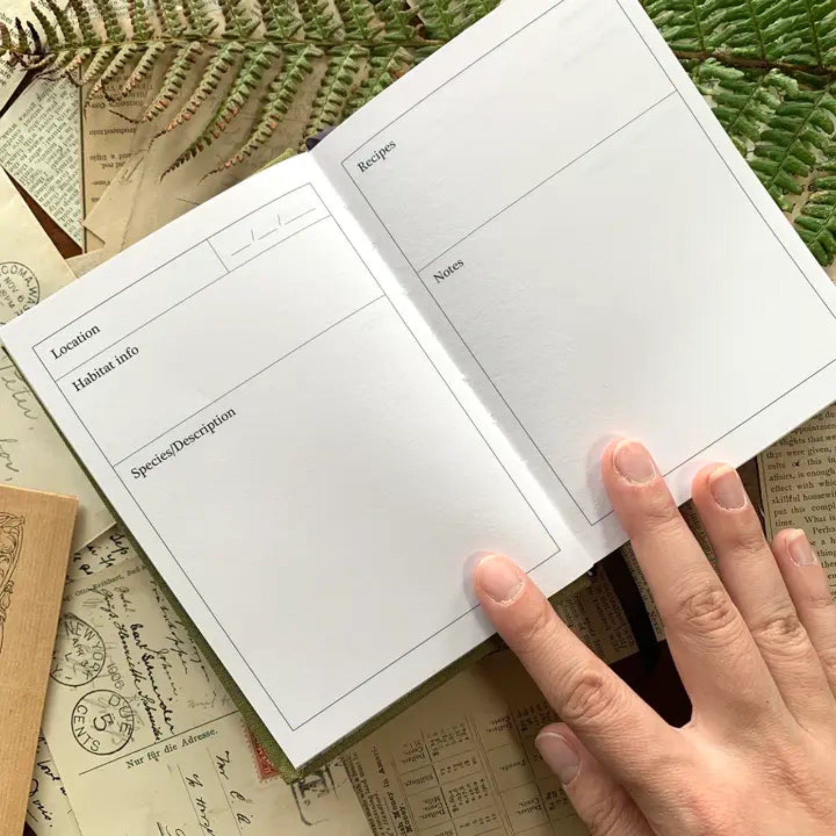 Forage: A Field Journal - DIGS