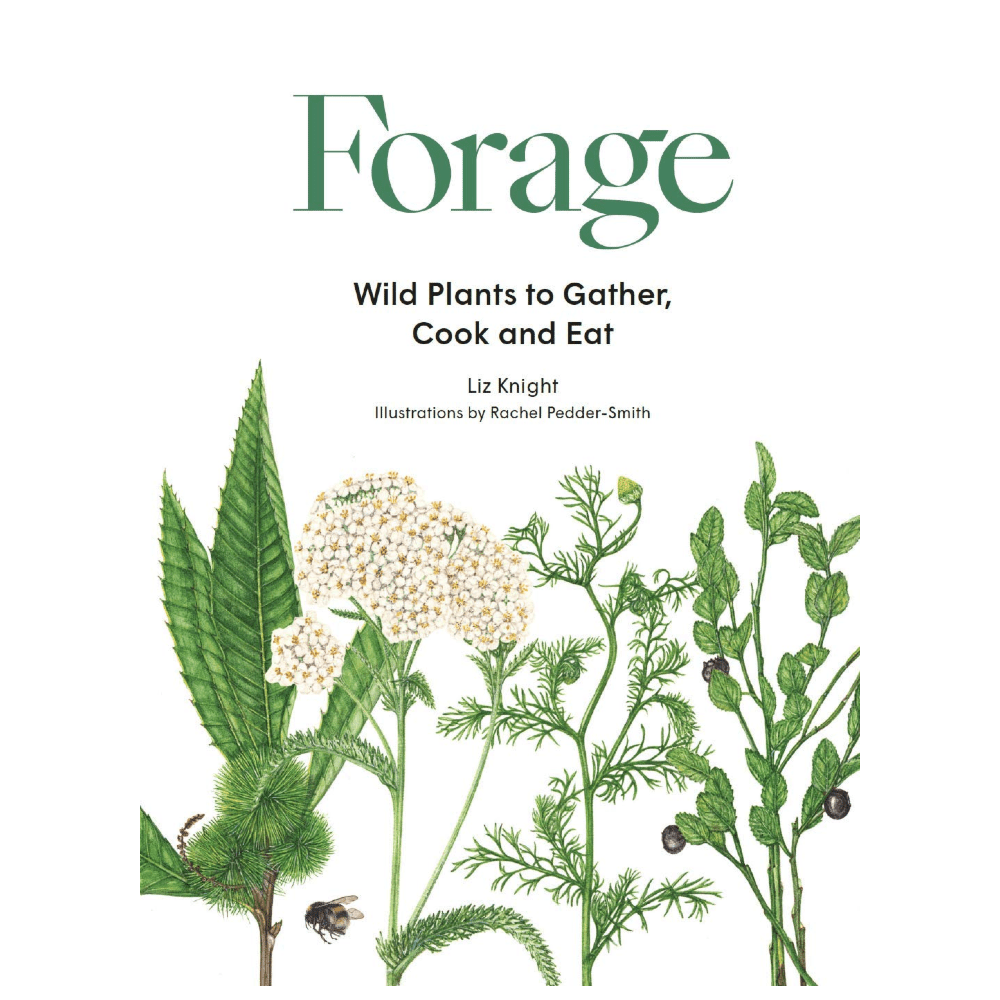 Forage: Wild Plants to Gather, Cook and Eat - DIGS