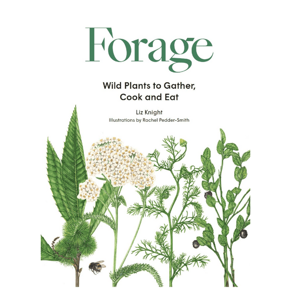 Forage: Wild Plants to Gather, Cook and Eat - DIGS