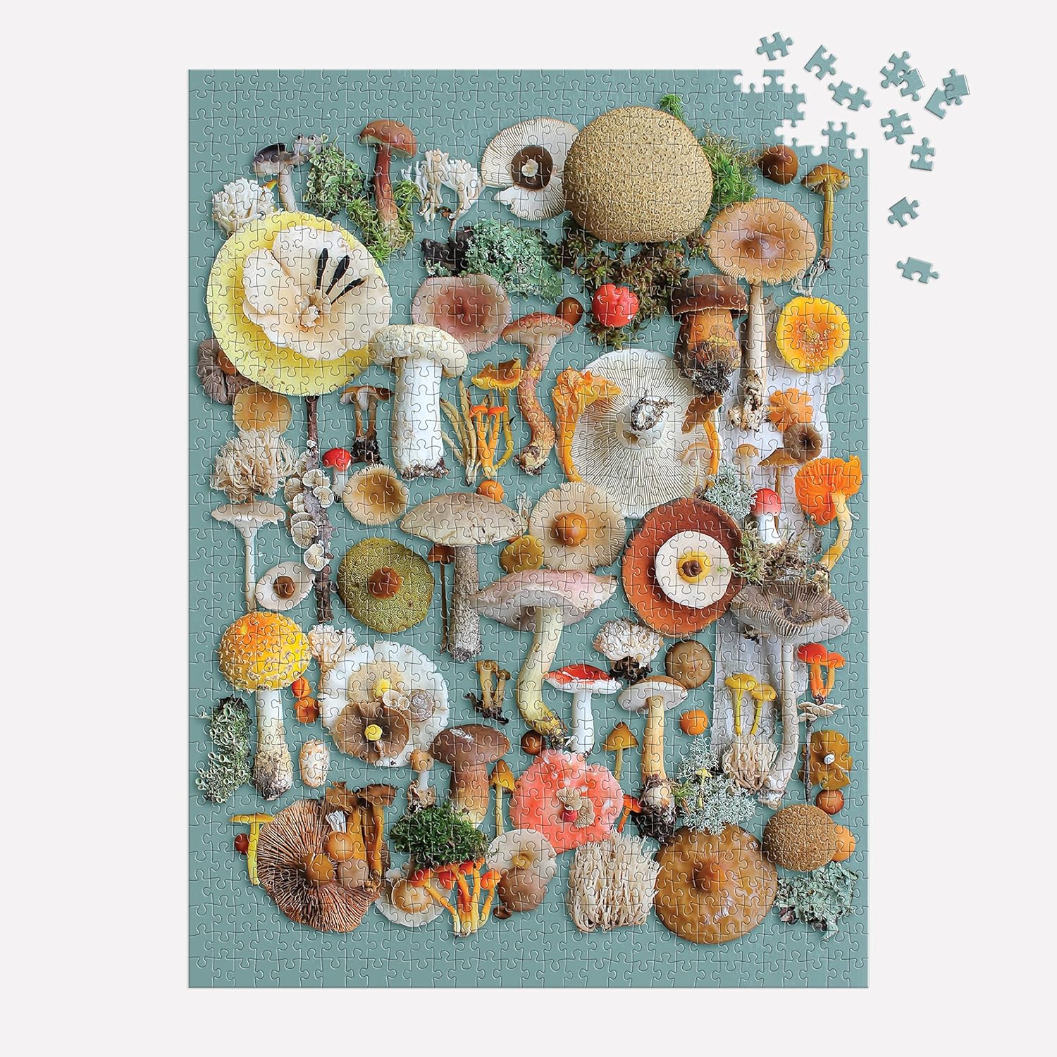 Foraged Mushroom Puzzle - DIGS