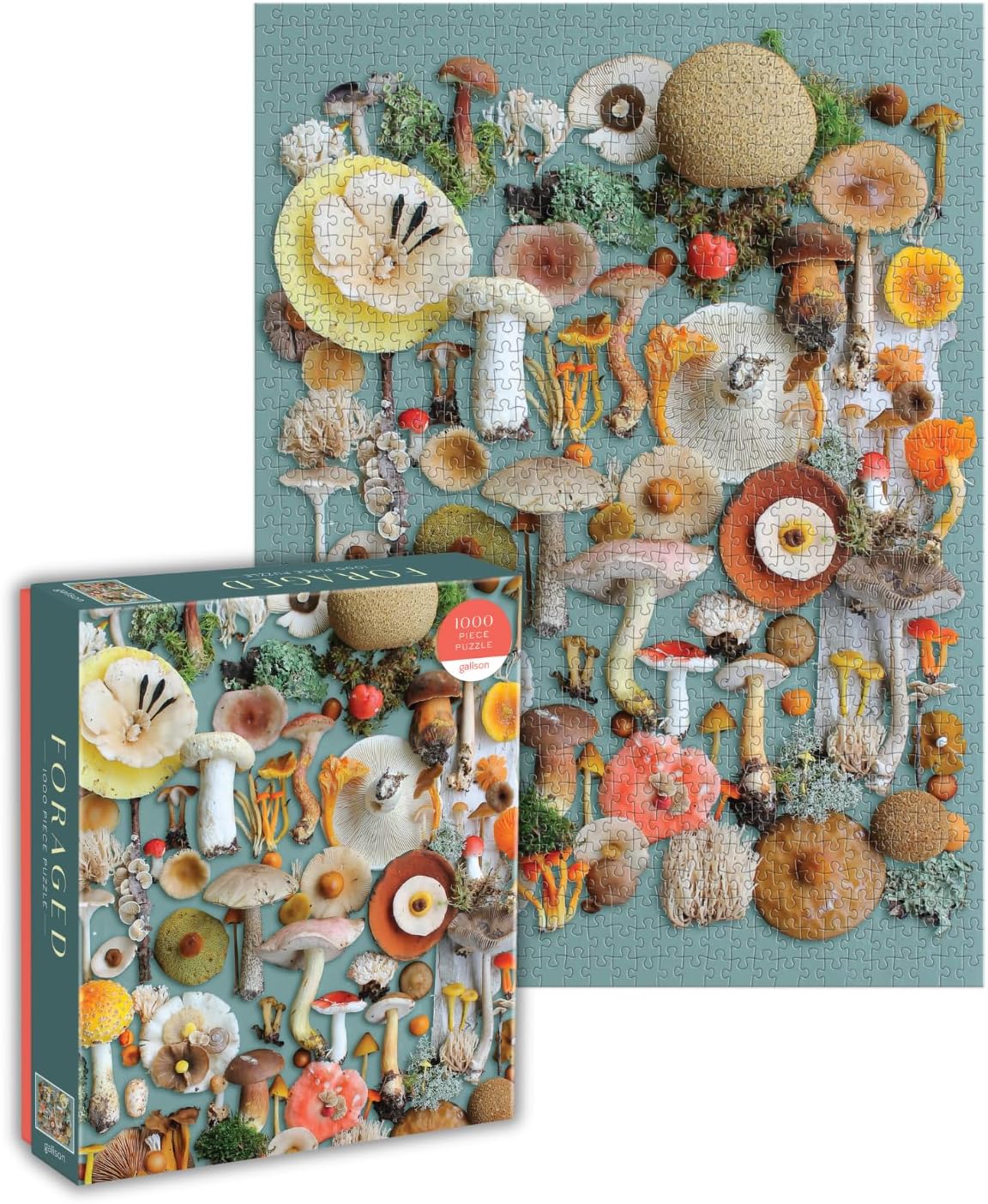 Foraged Mushroom Puzzle - DIGS
