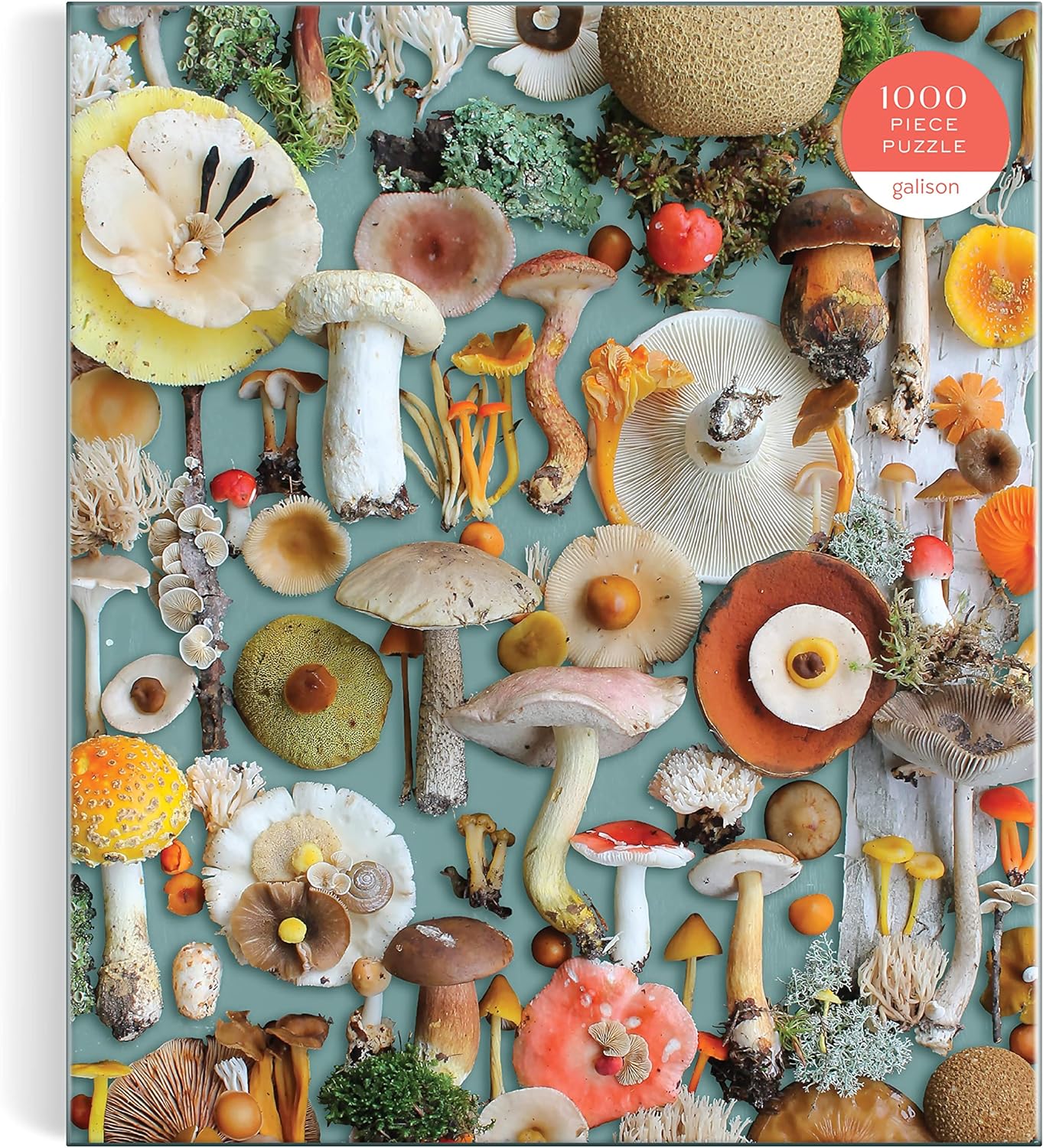 Foraged Mushroom Puzzle - DIGS