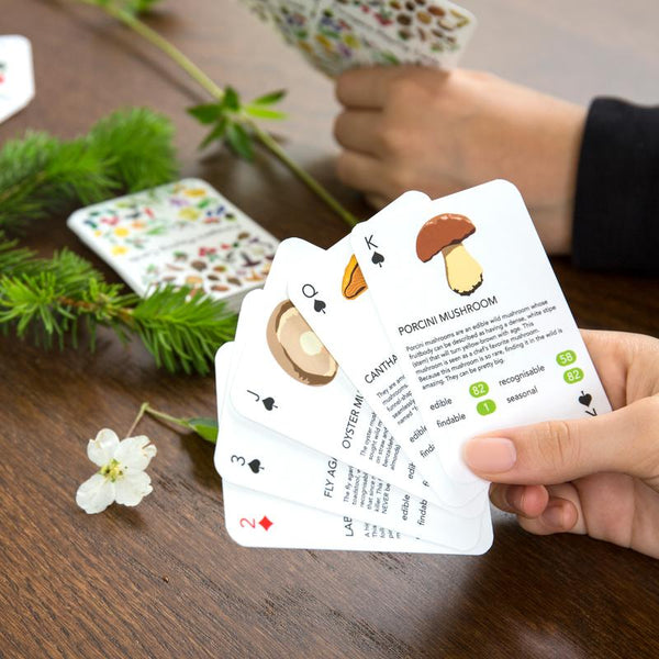 Foragers Playing Cards - DIGS