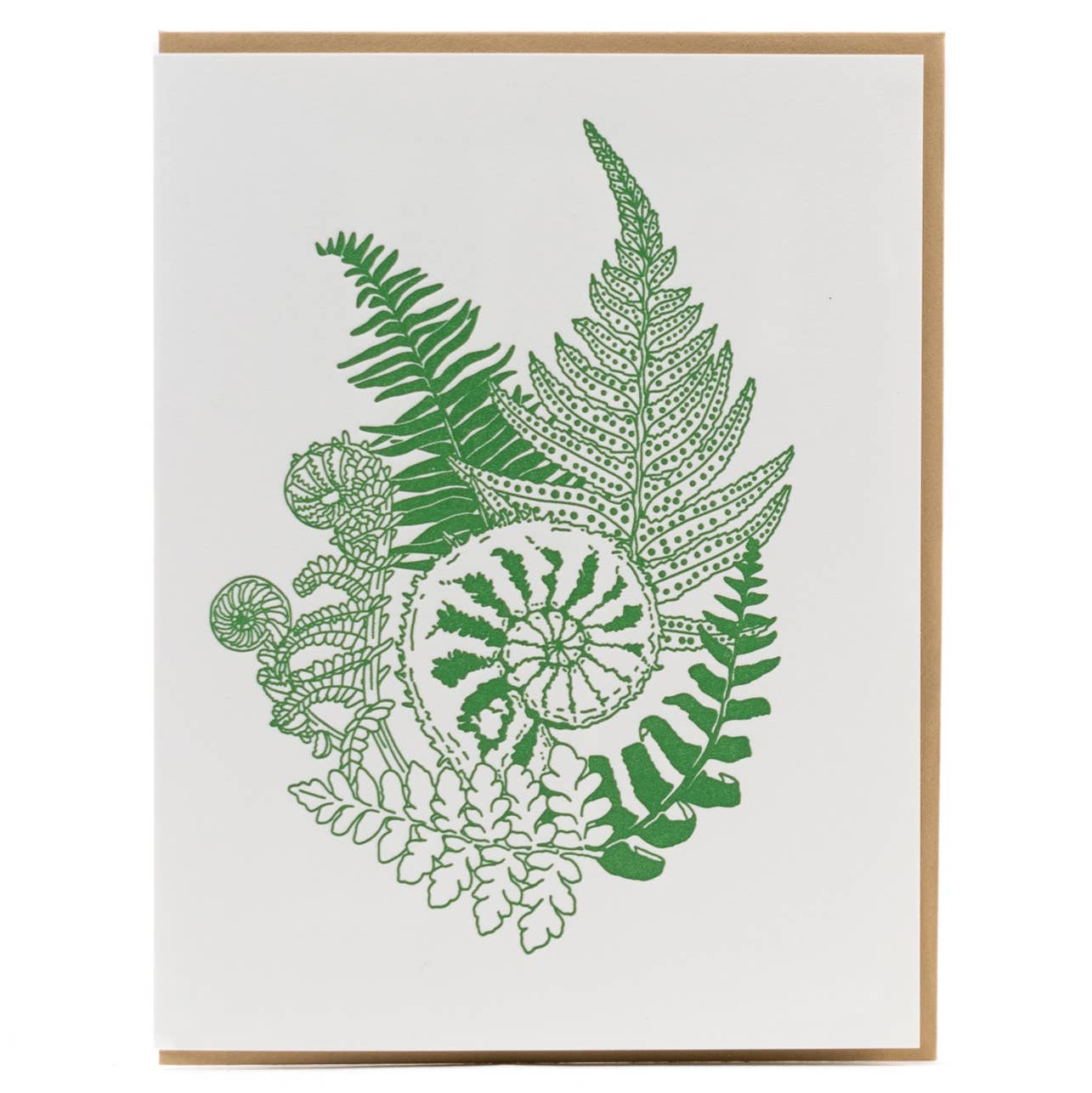 Forest Fern Card - DIGS