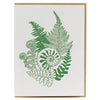 Forest Fern Card - DIGS