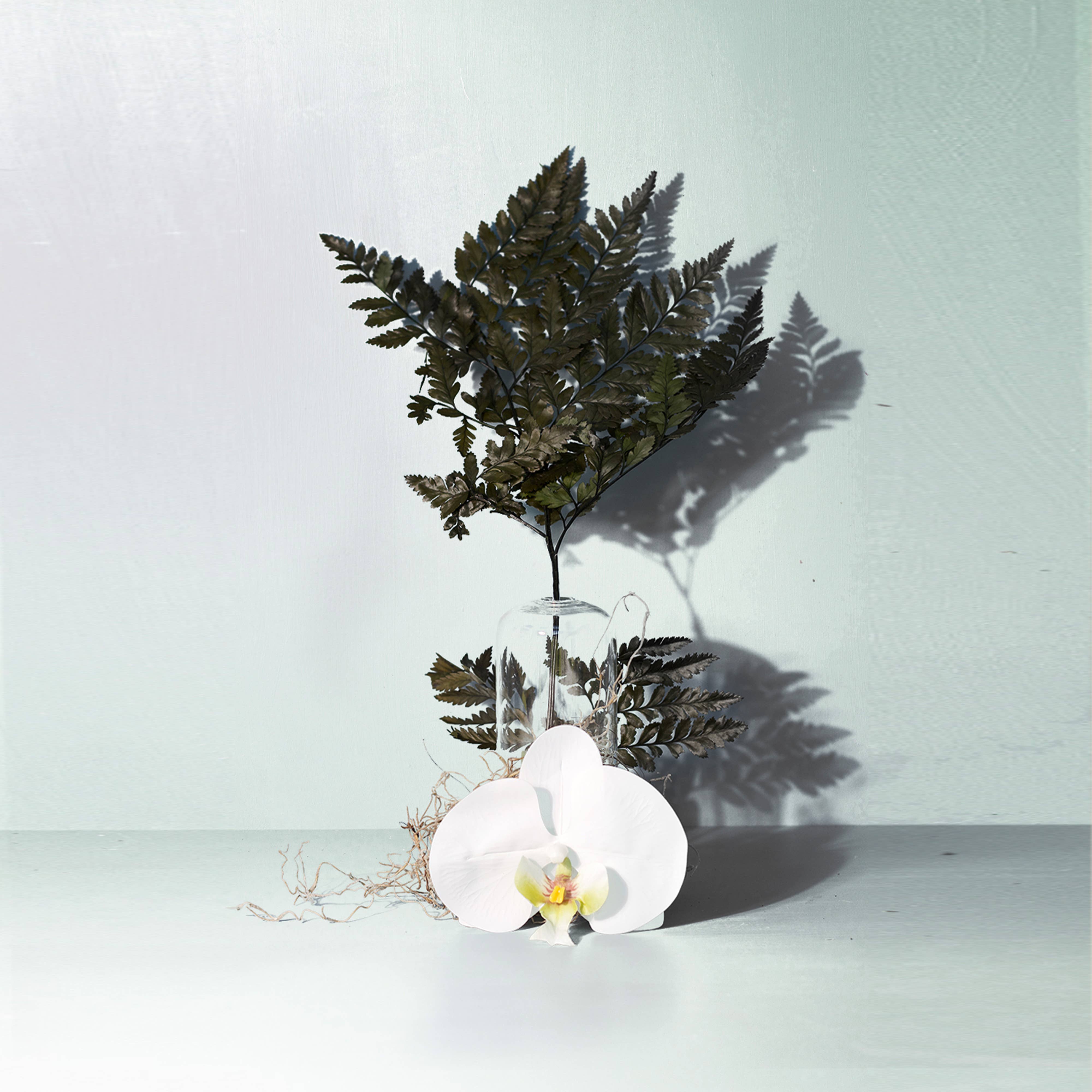 Forest Fern Mini Candle - DIGS