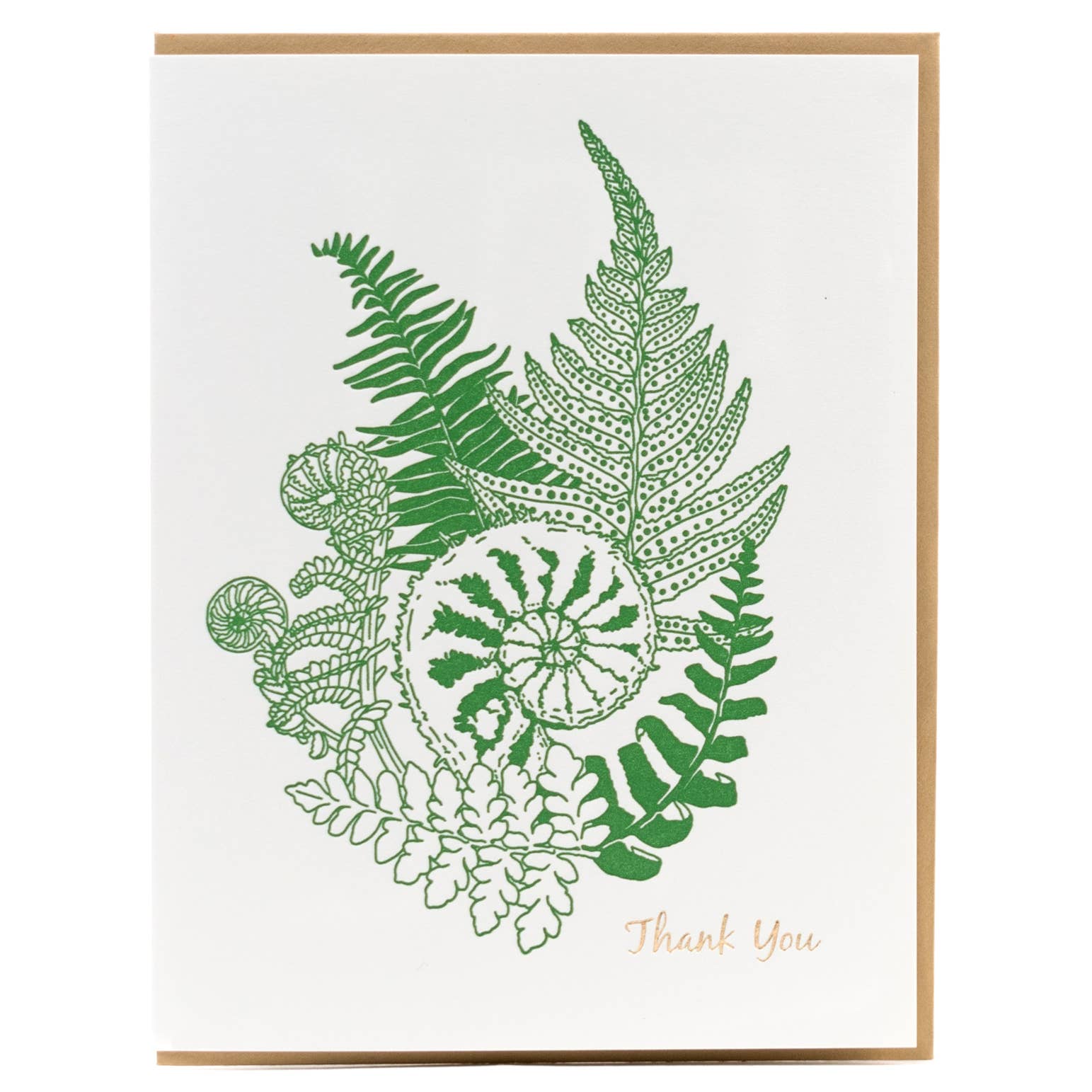 Forest Fern Thank You Card - DIGS