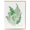 Forest Fern Thank You Card - DIGS