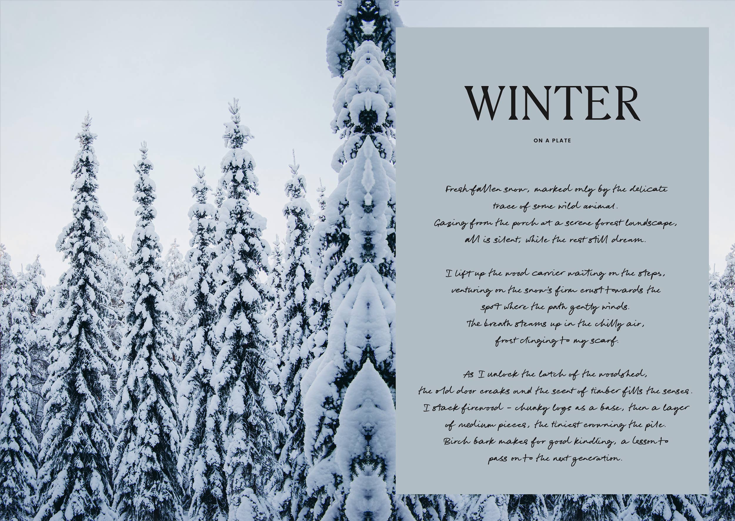 Four Seasons of Cabin Cooking - DIGS