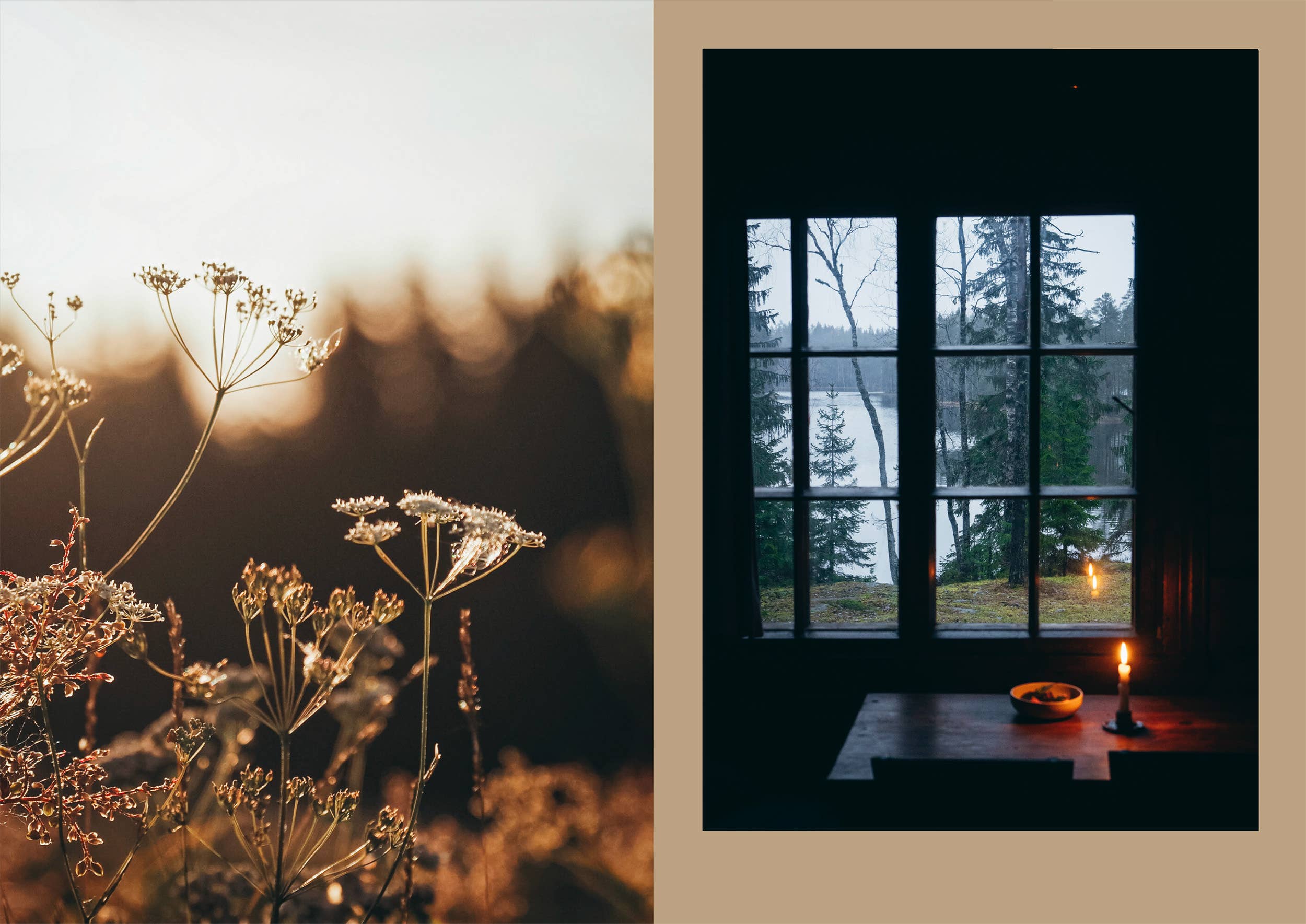 Four Seasons of Cabin Cooking - DIGS