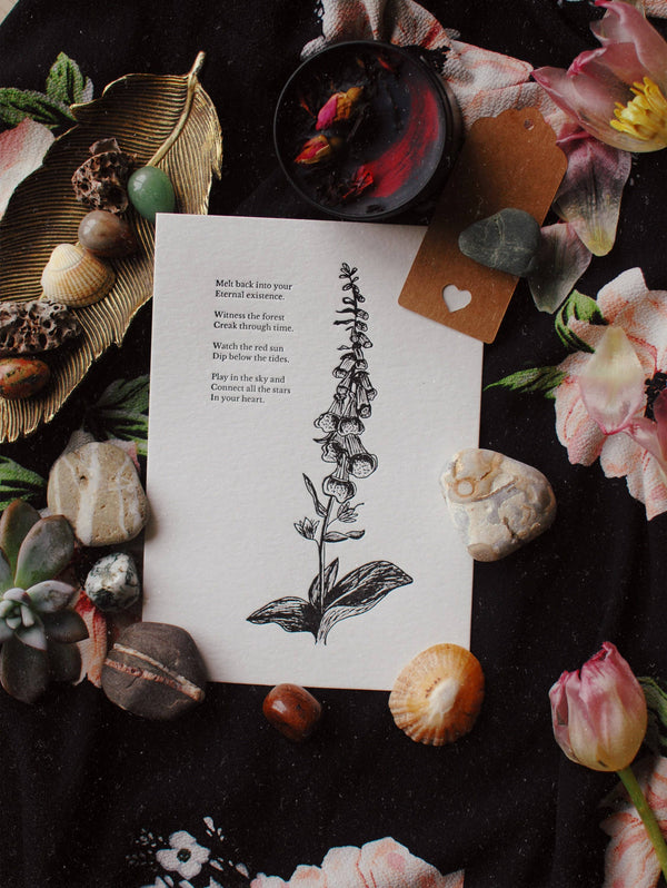 Foxglove Letterpress Print - DIGS