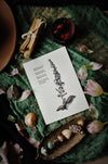 Foxglove Letterpress Print - DIGS