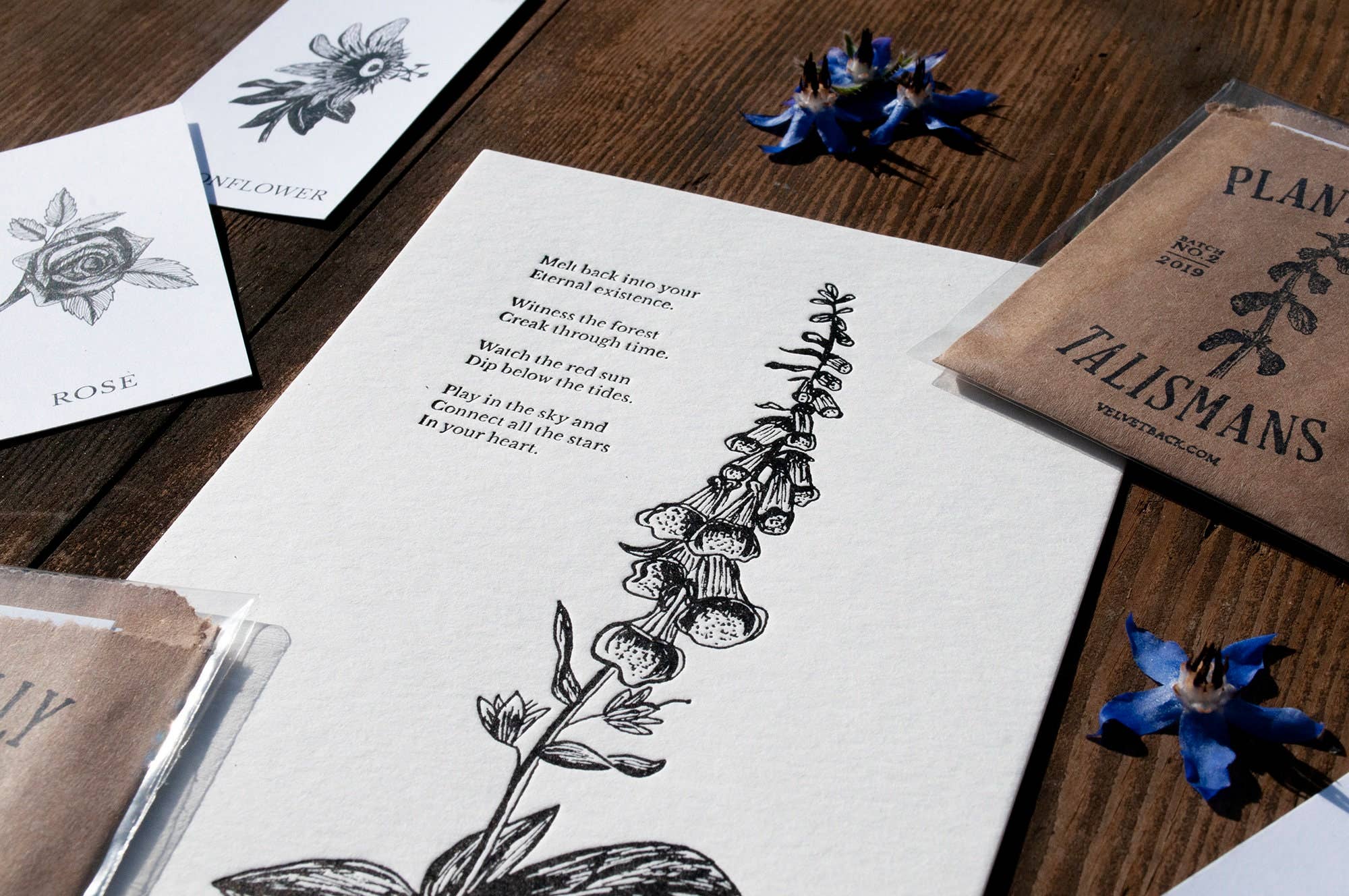 Foxglove Letterpress Print - DIGS