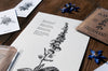 Foxglove Letterpress Print - DIGS