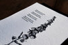 Foxglove Letterpress Print - DIGS