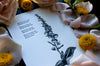 Foxglove Letterpress Print - DIGS