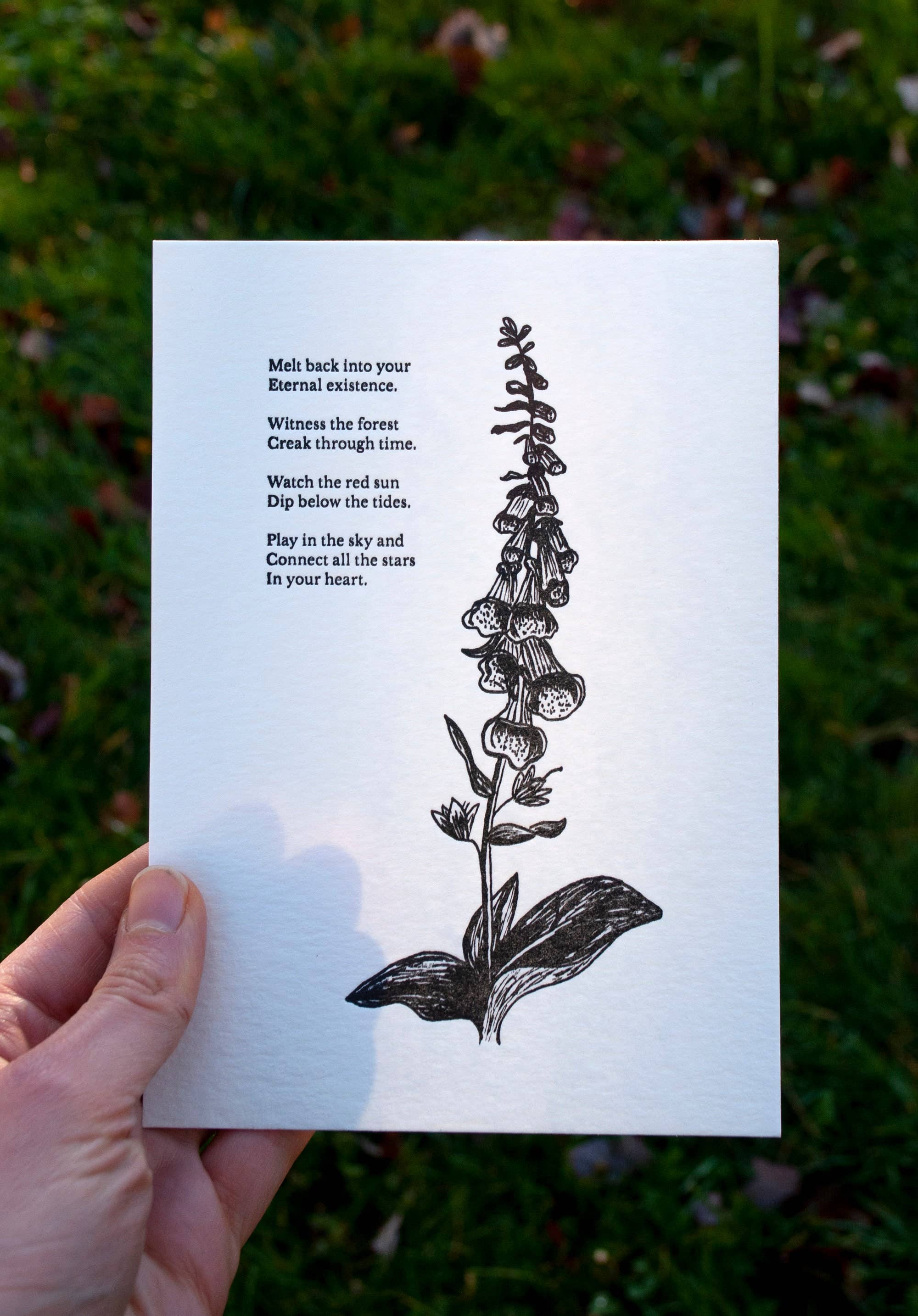 Foxglove Letterpress Print - DIGS