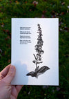 Foxglove Letterpress Print - DIGS