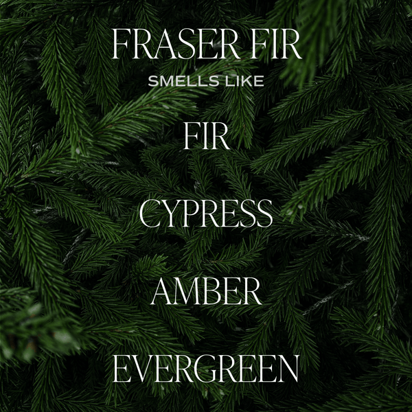 Fraser Fir Candle - DIGS