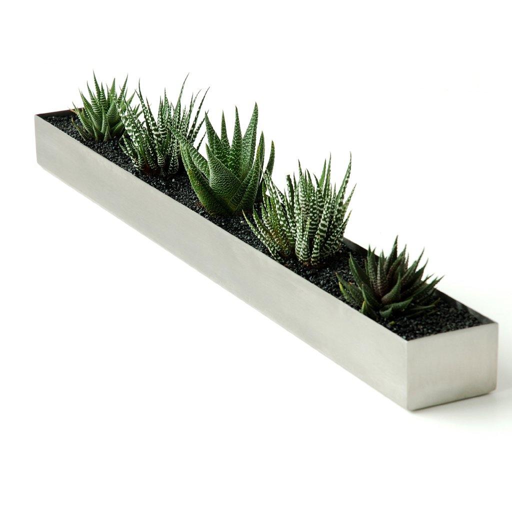 Fruit Trough - DIGS
