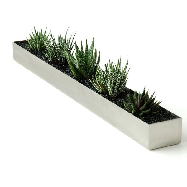 Fruit Trough - DIGS