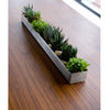 Fruit Trough - DIGS