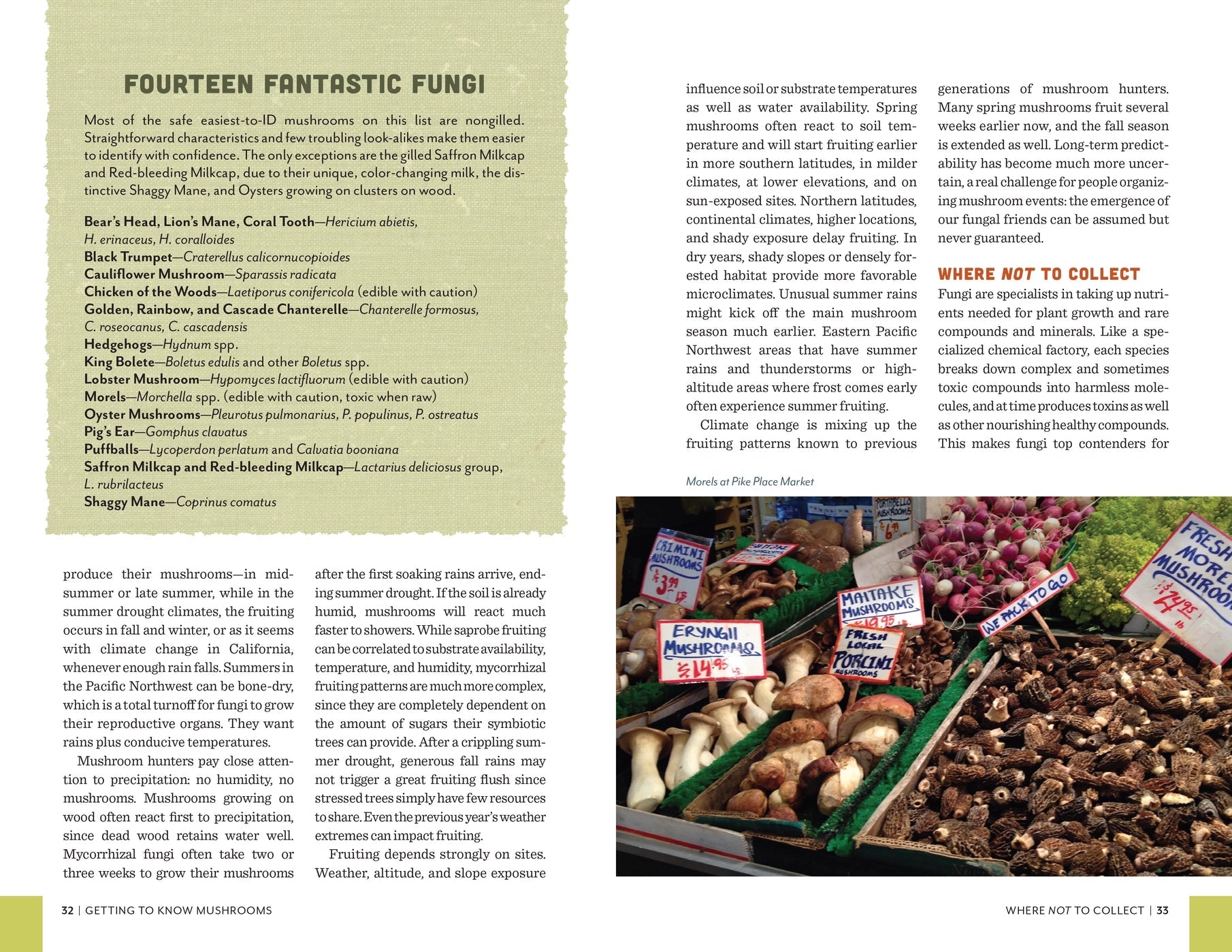 Fruits of the Forest: A Field Guide to PNW Edible Mushrooms - DIGS