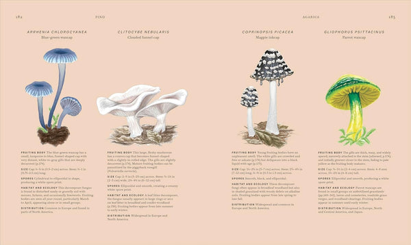 Fungi: Discover the Science and Secrets behind the World of Mushrooms - DIGS