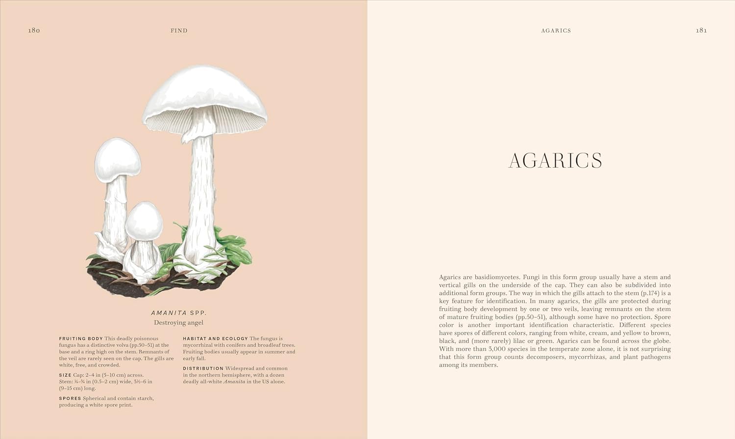 Fungi: Discover the Science and Secrets behind the World of Mushrooms - DIGS