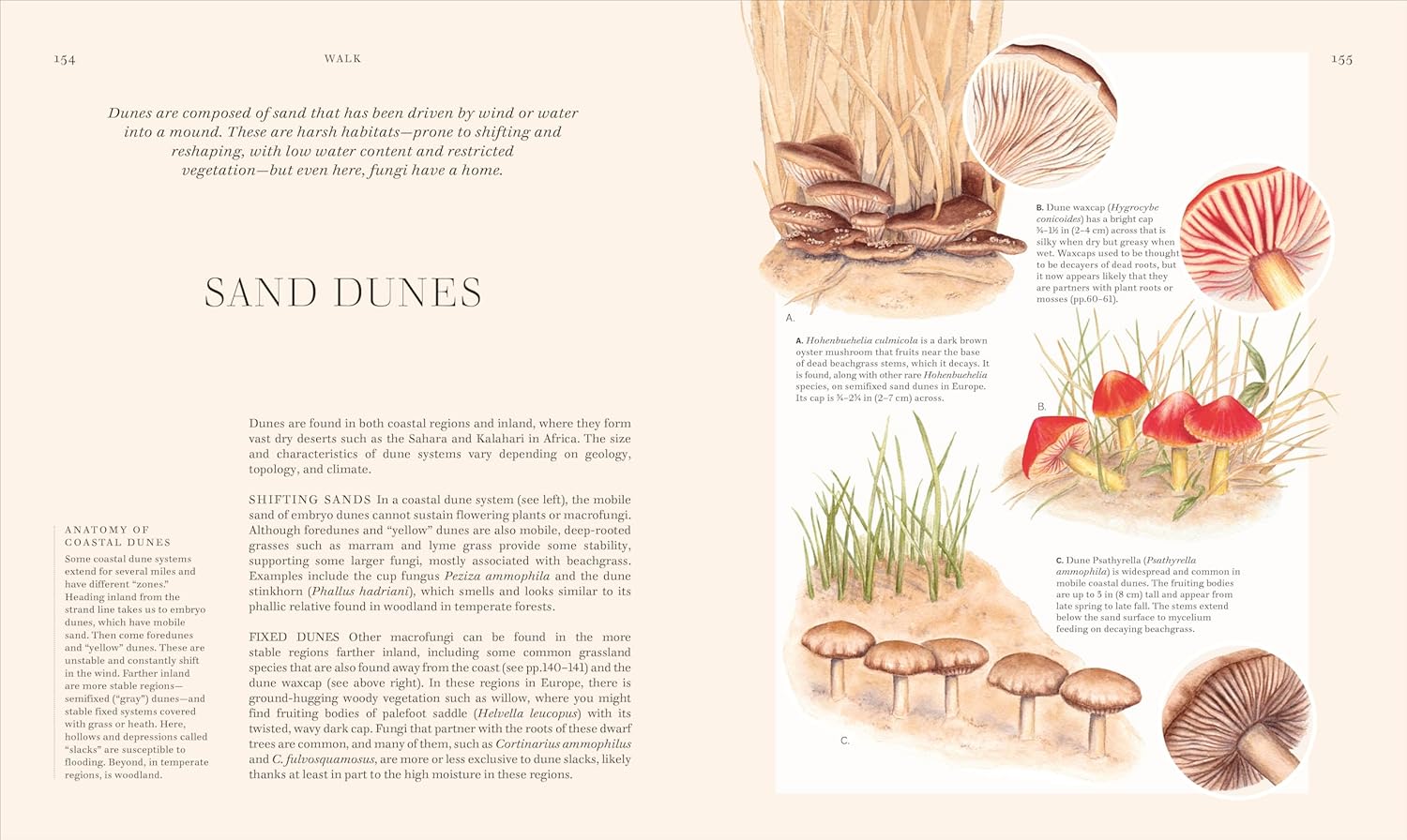 Fungi: Discover the Science and Secrets behind the World of Mushrooms - DIGS