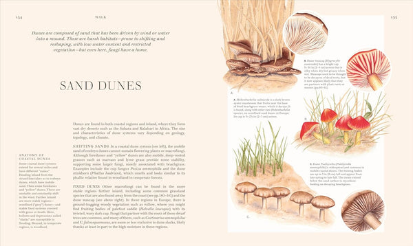 Fungi: Discover the Science and Secrets behind the World of Mushrooms - DIGS