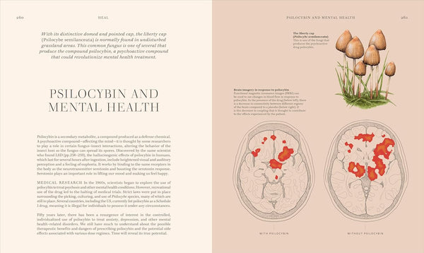 Fungi: Discover the Science and Secrets behind the World of Mushrooms - DIGS