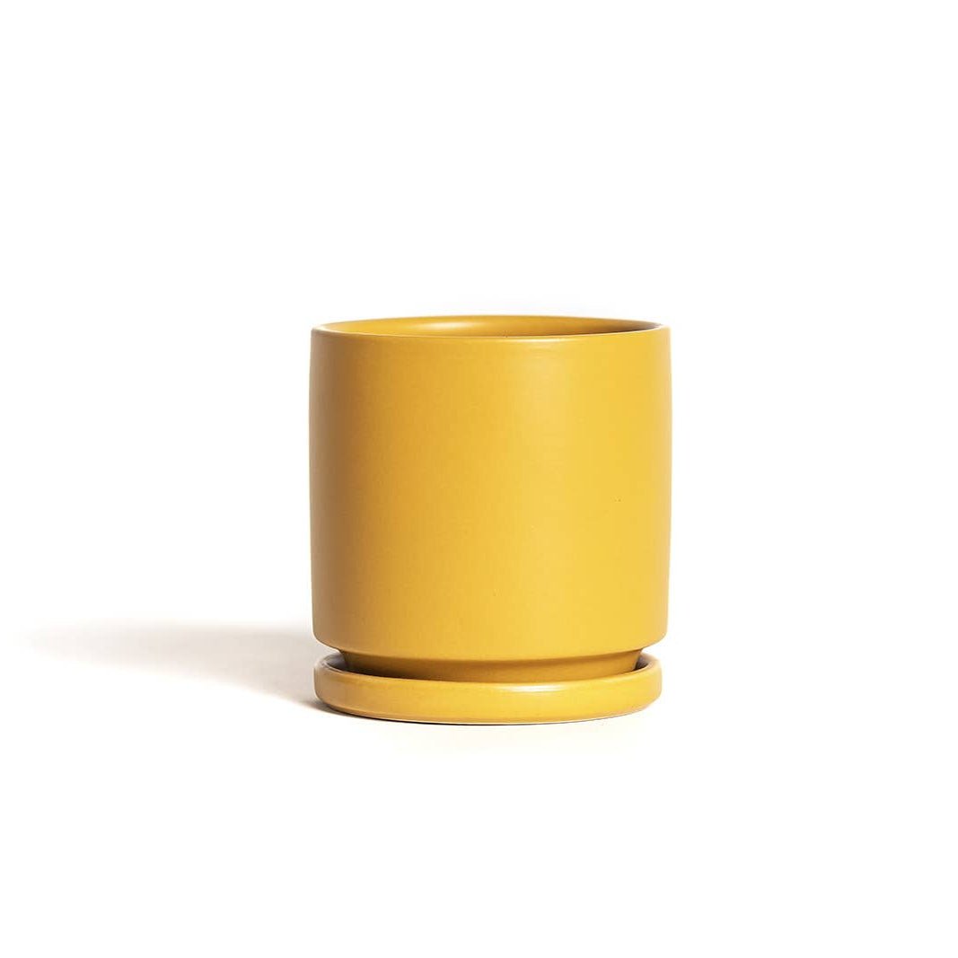 Gemstone Pots + Water Saucers - DIGS