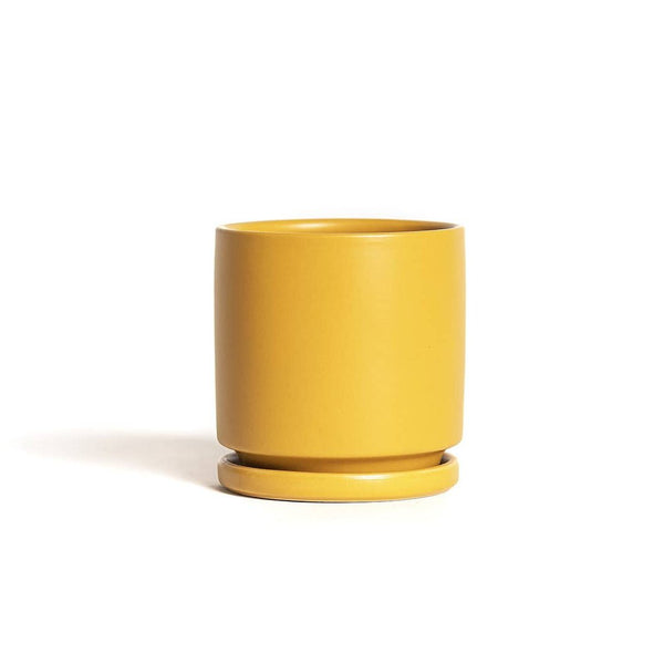 Gemstone Pots + Water Saucers - DIGS