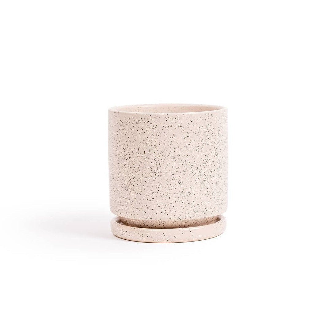 Gemstone Pots + Water Saucers - DIGS